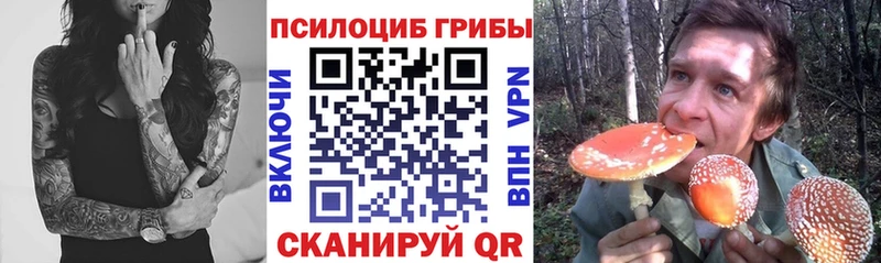 кракен tor Белгород Галлюциногенные грибы MAGIC MUSHROOMS